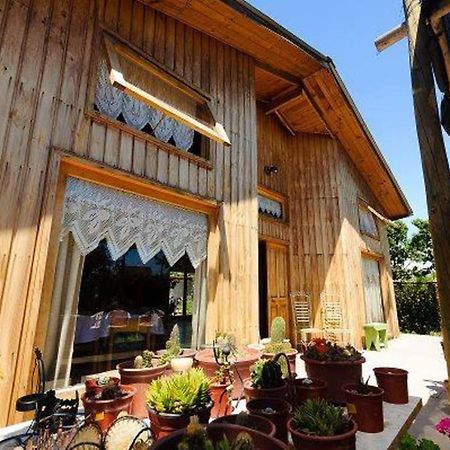 Hostel San Felipe Εξωτερικό φωτογραφία